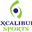 Excalibur Sports logo